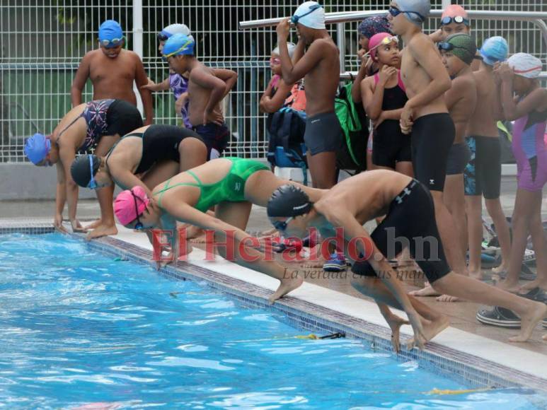 Fechas, ardua preparación y destacada organización: Así se desarrollará la Copa Tiburones 2022