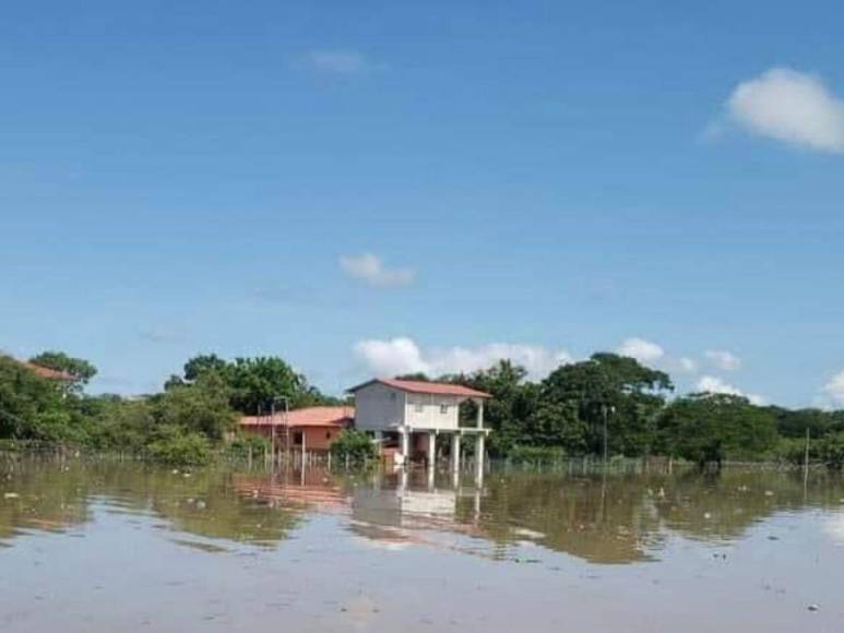 Fuertes lluvias desencadenan inundaciones en El Cubulero, Alianza, Valle