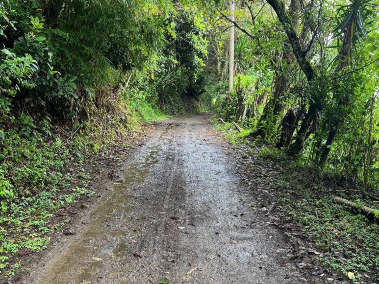 San Juancito, una aldea del Distrito Central para refrescarse en este verano