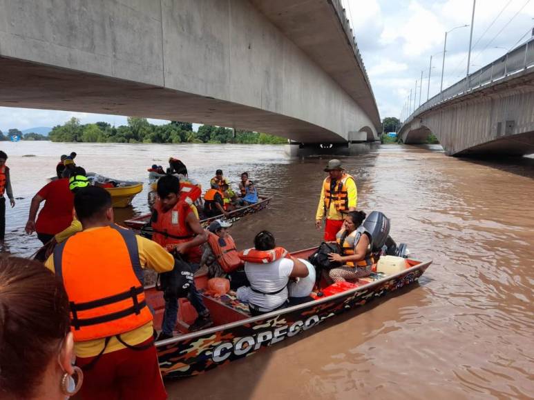 Sacados en brazos, con pocas pertenencias y sus animalitos: el drama que viven familias evacuadas (Fotos)