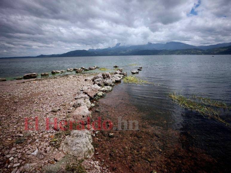 Heces, metales pesados y agroquímicos matan lentamente el Lago de Yojoa (FOTOS)