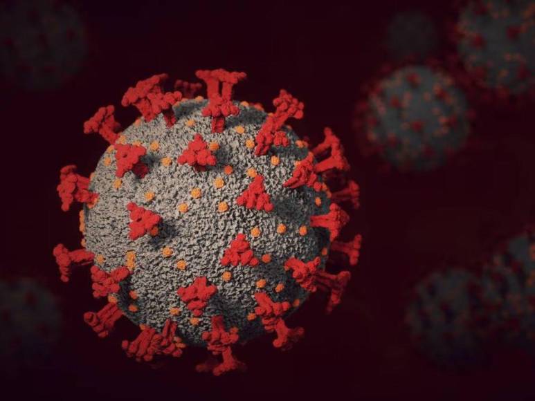 ¿Qué se sabe de Arcturus? La nueva variante del coronavirus que ya circula en Honduras