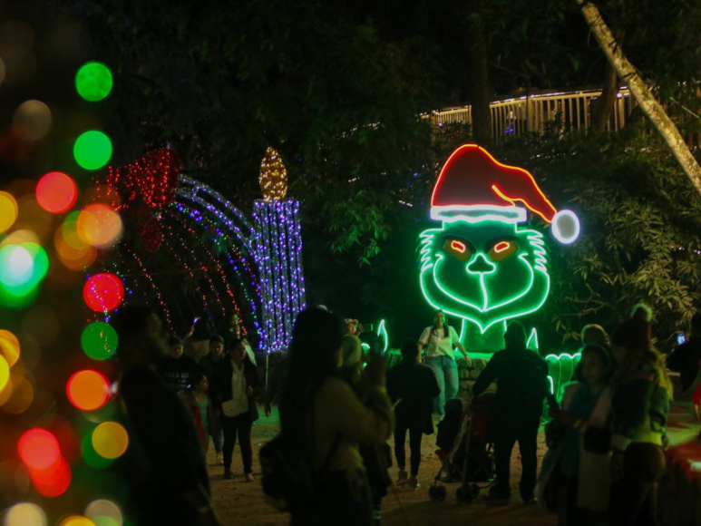 Luces navideñas adornan las noches en El Picacho