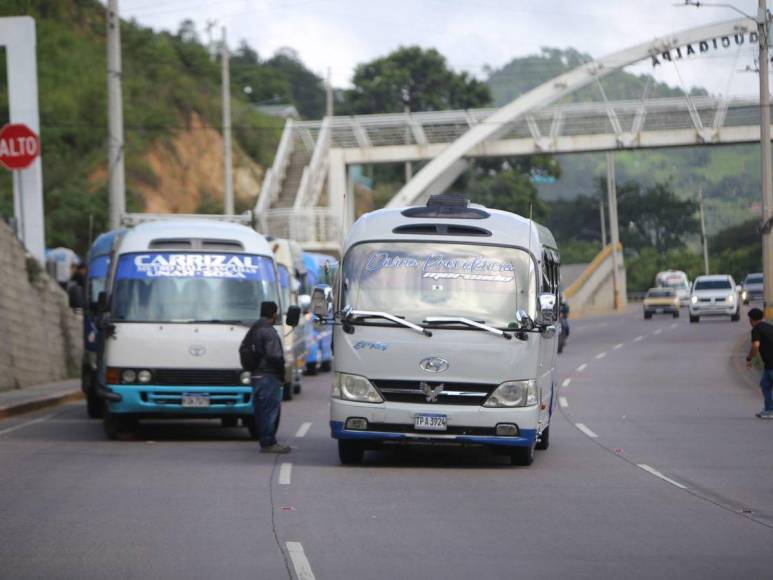 Transportistas cumplen su advertencia y paralizan sus buses en la capital