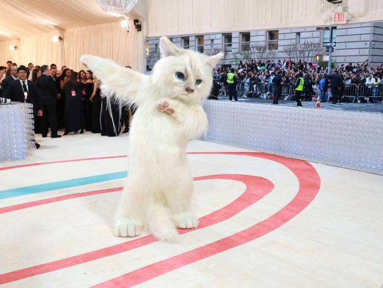 ¿Quién es Choupette, la gata de Karl Lagerfield que fue protagonista de la Met Gala?