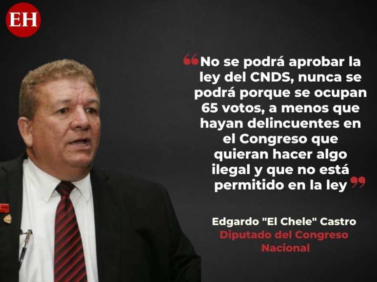 Diputado Edgardo Castro critica situación en el Congreso Nacional y actuar de Libre