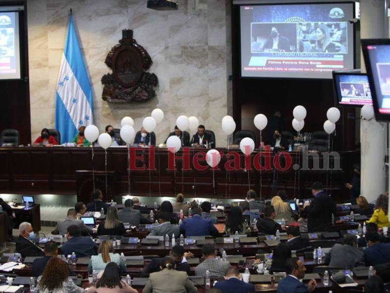 Del homenaje a Carolina Echeverría a la tensión por comisionada del Conadeh: Así se desarrolló la sesión del CN