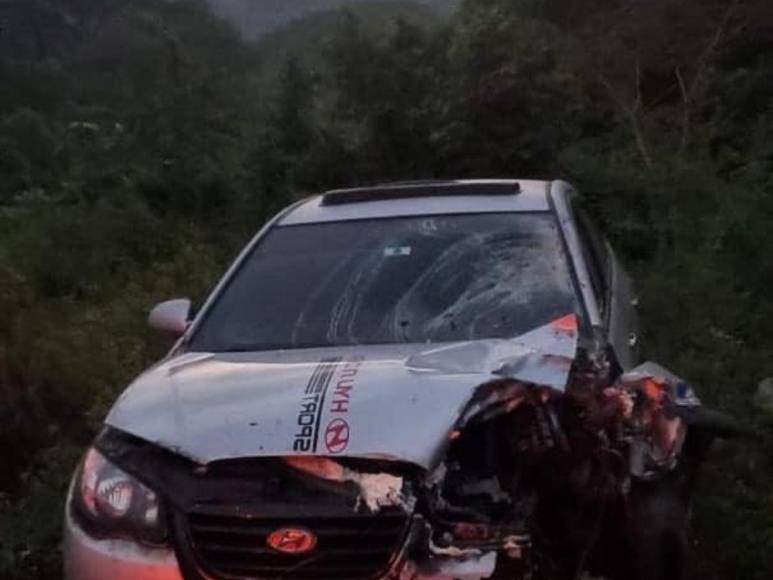 Armando y Adalid, bomberos que murieron arrollados en Santa Bárbara