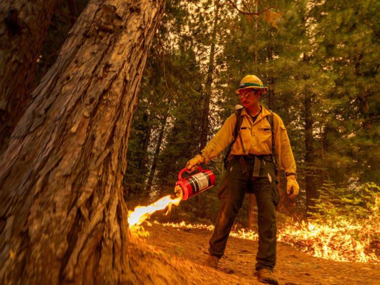 Imágenes del incendio catastrófico que arrasa el norte de California, EUA