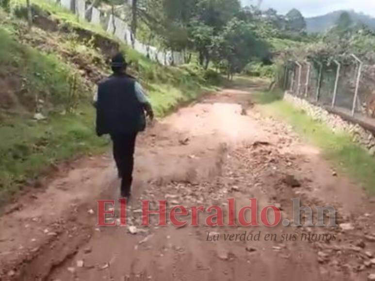 Así fue el mortal ataque de perros que acabó con la vida de un hombre en El Sauce, Valle de Ángeles