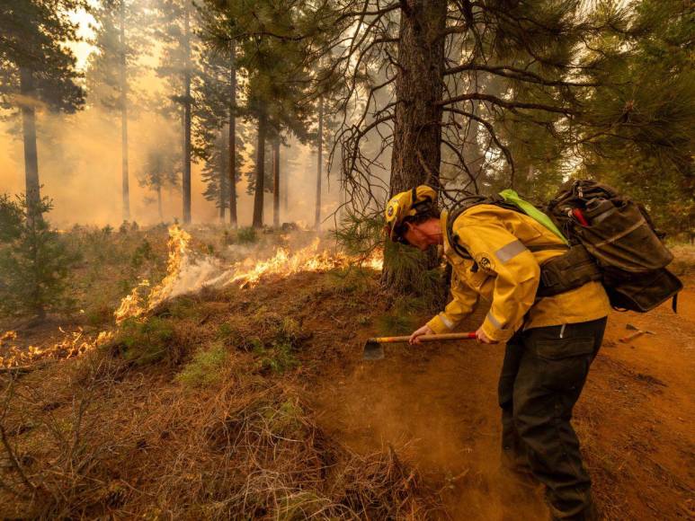 Imágenes del incendio catastrófico que arrasa el norte de California, EUA