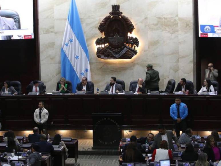 Diputados vuelven a sesionar en el Congreso Nacional entre dimes y diretes