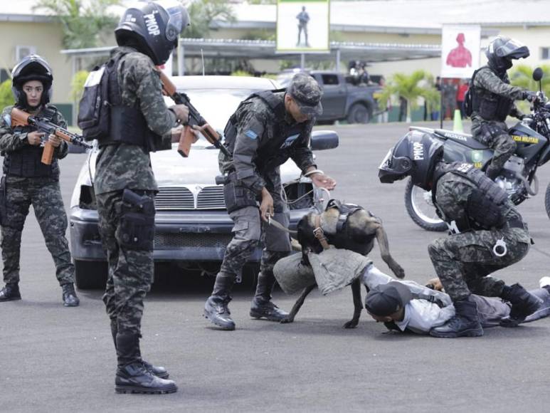 Con demostración de destrezas y entrega de reconocimientos, homenajean a la Policía Militar por su 11 aniversario