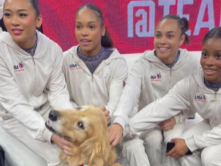 ¿Quién es Beacon, el perro terapia que forma parte del team USA de gimnasia?