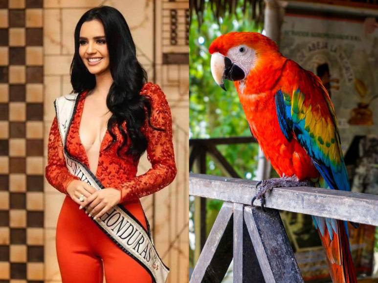 Los trajes típicos más creativos del Miss Universo 2023