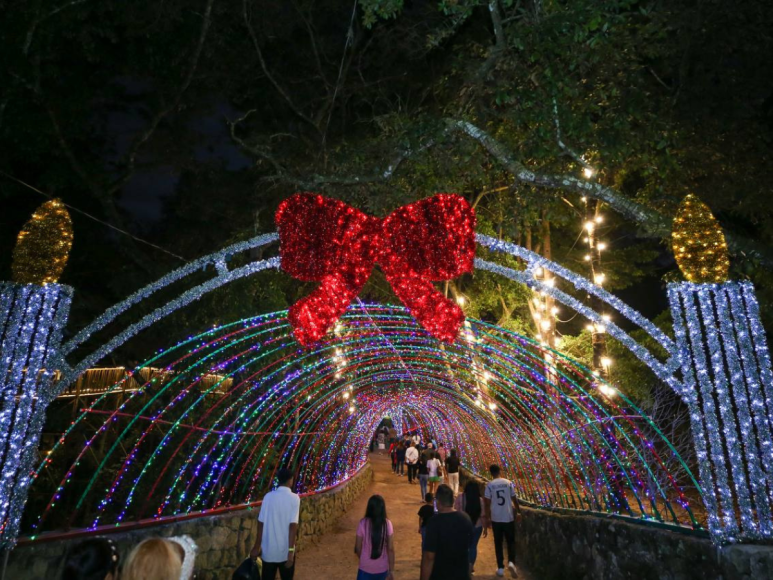 Luces navideñas adornan las noches en El Picacho