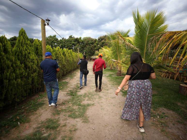 Adrenalina y ambiente familiar: así es la increíble experiencia al visitar el Laberinto de Cipreses en Comayagua