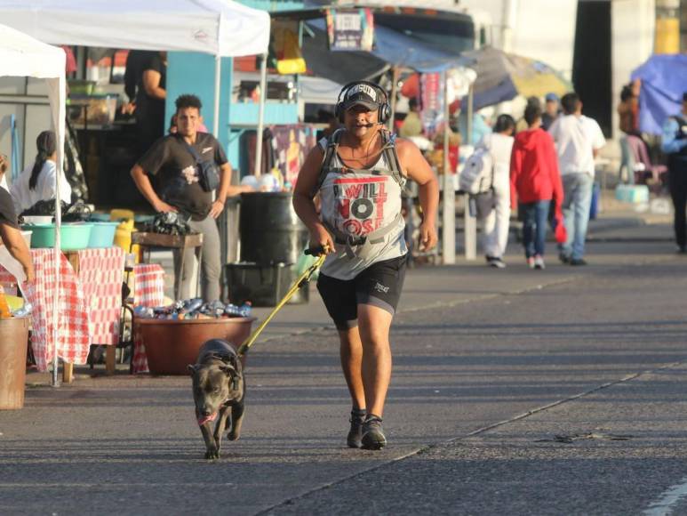 Solemnidad y respeto a la patria: primeras imágenes del desfile en la capital