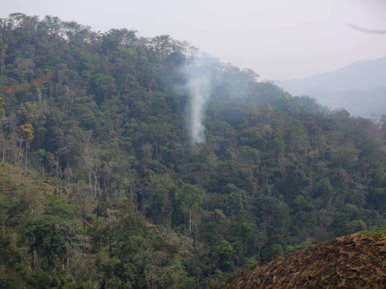 Destruida y deforestada: así se encuentra la zona núcleo de la Biósfera del Río Plátano