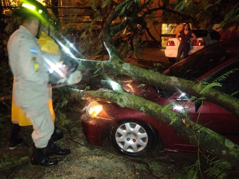 Pasajeros atrapados y derrumbes: estragos de tormenta Pilar en el DC