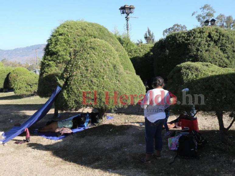 Así se vivió el fervor católico por el 275 aniversario de la Santa Patrona (FOTOS)