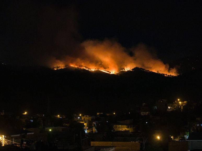 Las impactantes imágenes del incendio forestal que arrasó con todo a su paso en cerro El Trigo