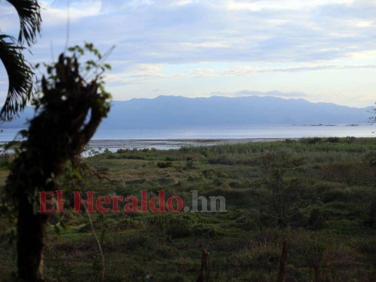 Heces, metales pesados y agroquímicos matan lentamente el Lago de Yojoa (FOTOS)