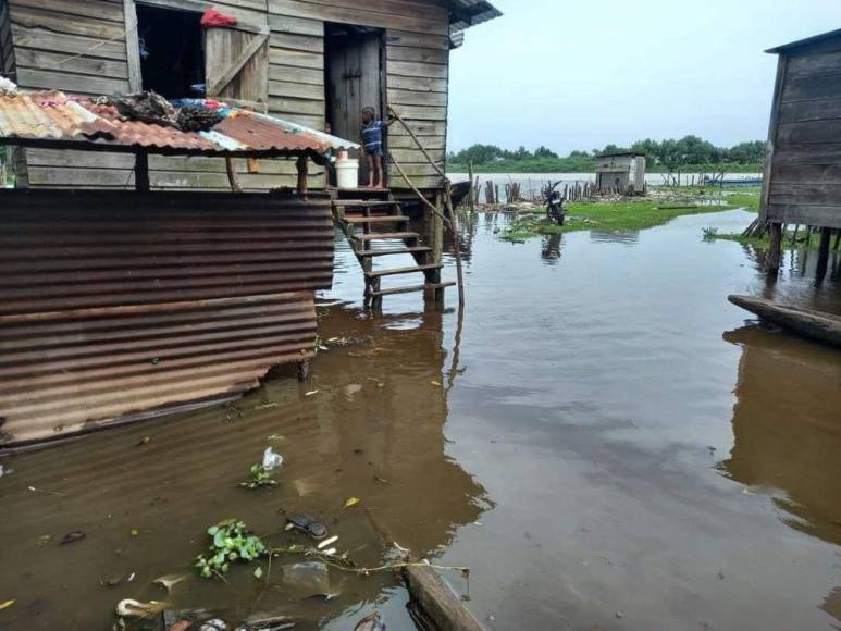 Fotos: Varias comunidades de Gracias a Dios quedaron totalmente inundadas por la tormenta Julia