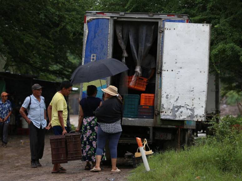 Lluvias de Pilar dejan desbordamiento en Río Goascorán en la zona sur