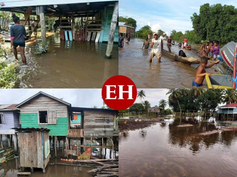 Fotos: Varias comunidades de Gracias a Dios quedaron totalmente inundadas por la tormenta Julia