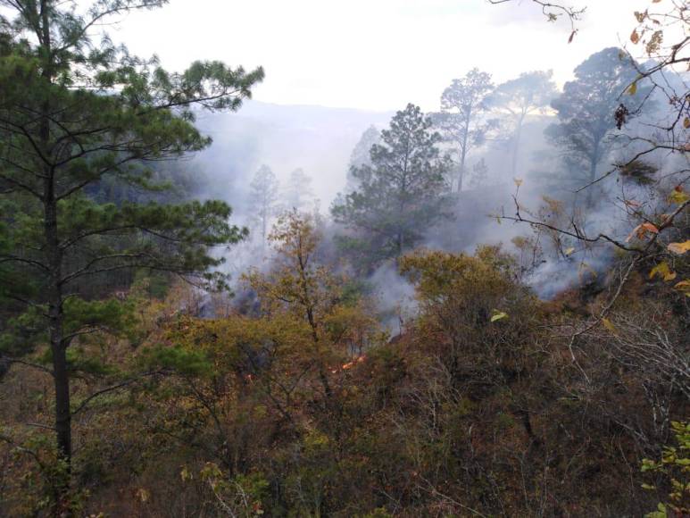 Las imágenes del pavoroso incendio que no ha podido sofocarse en Santa Lucía