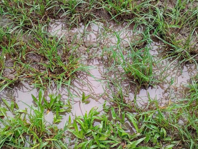 ¡Entre lodo y agua!, así recibe el Brevé Vargas al Olancho y Motagua