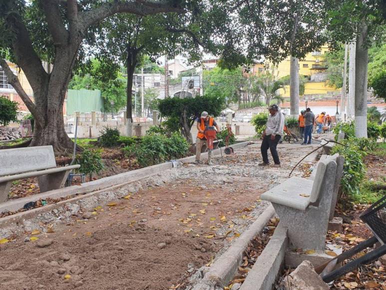 En un 60% avanzan los trabajos de restauración del parque La Leona