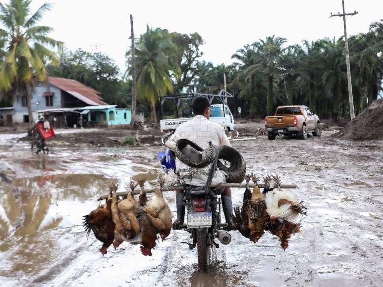 Inundaciones, desplazamientos y preparativos: Los primeros efectos del huracán Julia en Honduras