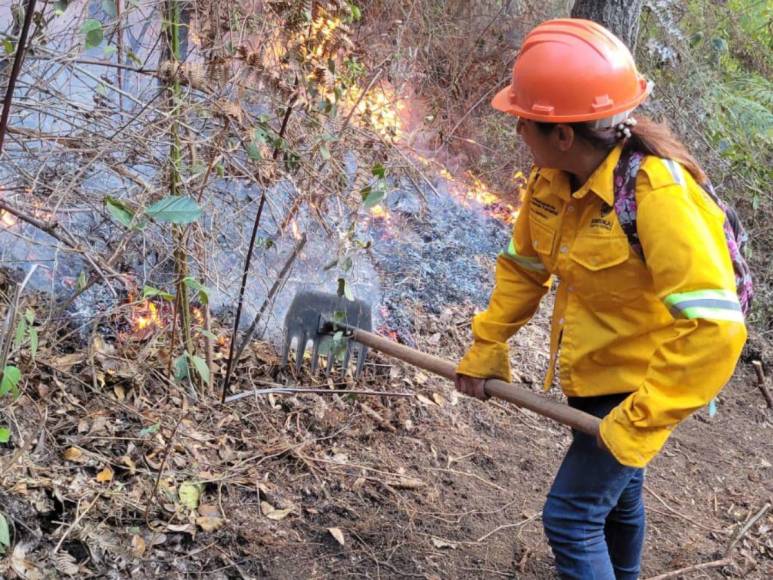 Las impactantes imágenes del incendio forestal que arrasó con todo a su paso en cerro El Trigo