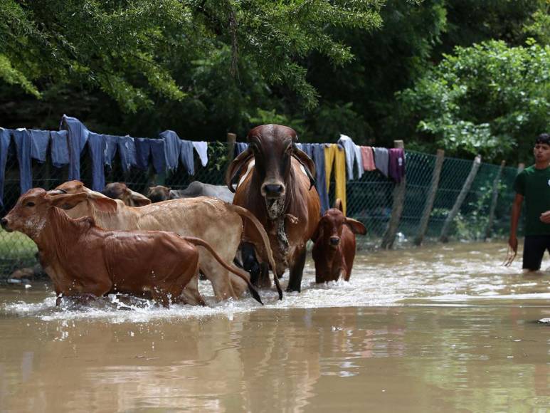 Rodeados de agua permanecen pobladores de Valle, tras paso de Pilar