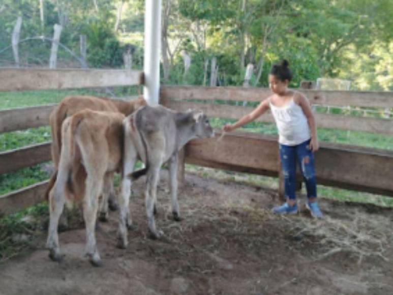 “Era la mascota, pero el diablo actuó”: Padre de Nahomy Argueta narra cómo la halló tras el ataque