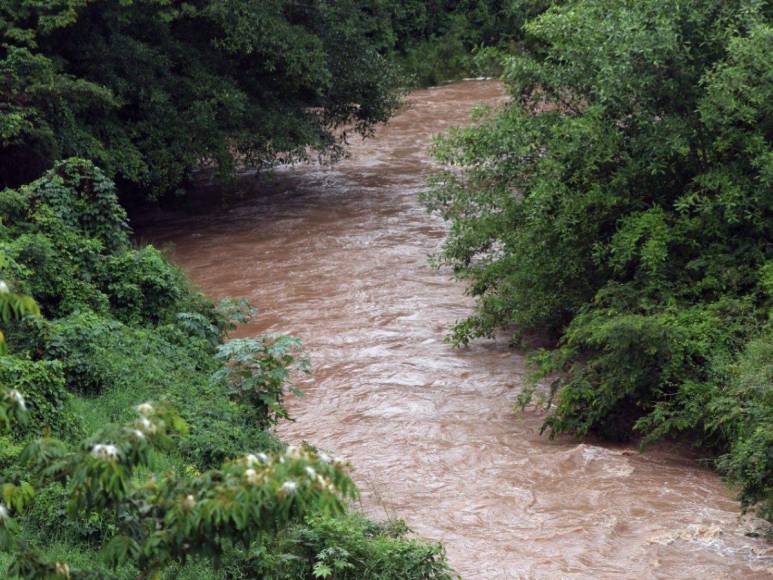 Cielos nublados y calles encharcadas dejan lluvias en el DC