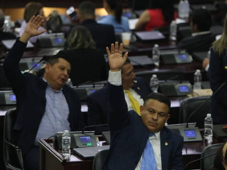 Insurrección y advertencia de sanciones: Congreso Nacional busca derogar “Fondo Departamental”