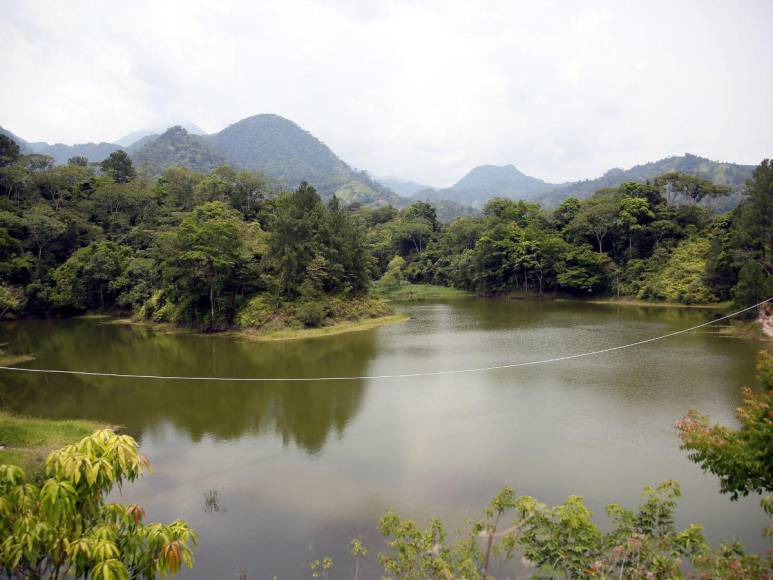 Las imágenes que muestran la deforestación e invasiones que amenazan al Lago de Yojoa