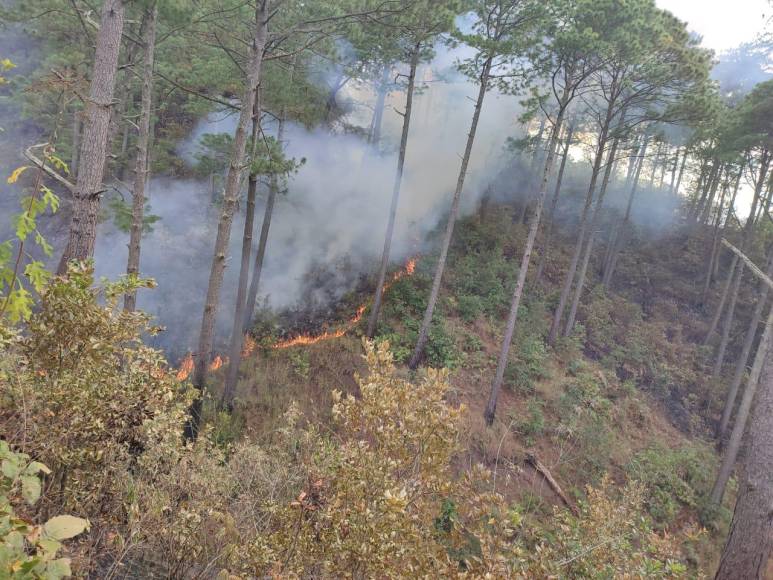 Las imágenes del pavoroso incendio que no ha podido sofocarse en Santa Lucía