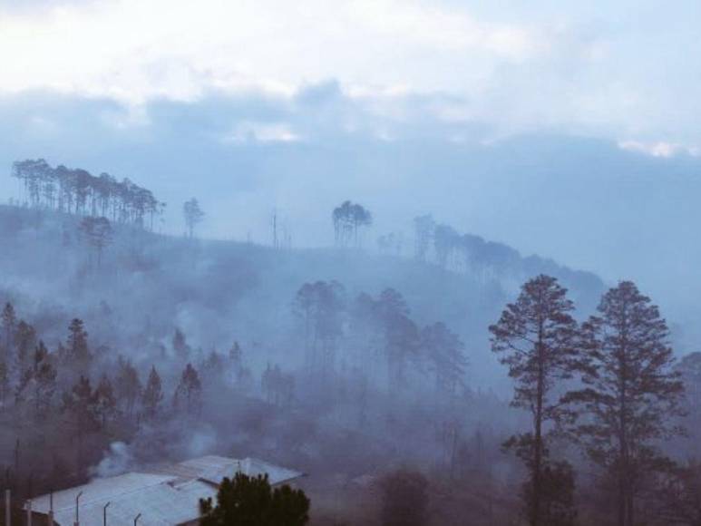 Las impactantes imágenes del incendio forestal que arrasó con todo a su paso en cerro El Trigo