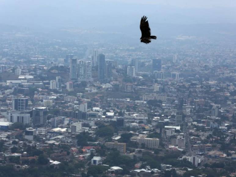 Así se ve la capital escondida en una nube de humo