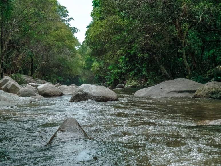 Conmoción en Lempira por brutal asesinato de madre e hijo; los atacaron a machetazos y tiraron sus cadáveres a un riachuelo