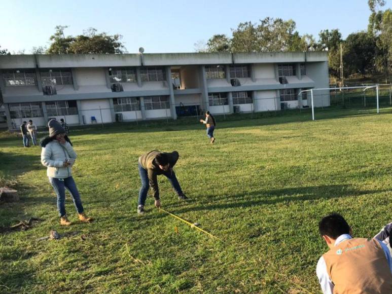 Fue atacado por enjambre de abejas africanizadas mientras medía un terreno: lo que se sabe de la muerte de anciano en La Ceiba