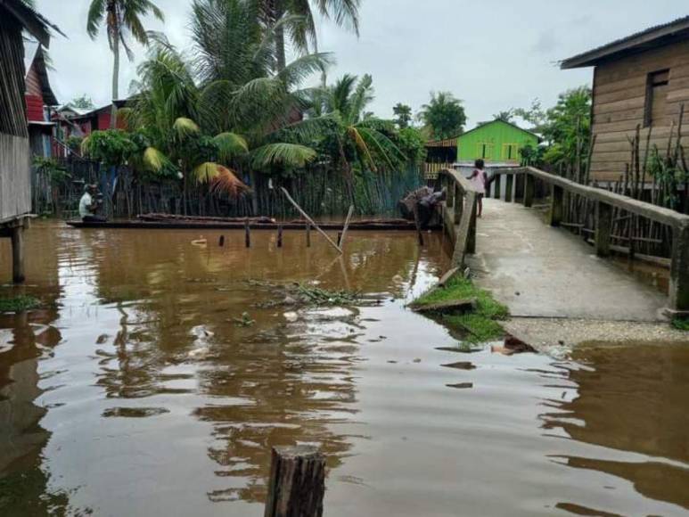 Fotos: Varias comunidades de Gracias a Dios quedaron totalmente inundadas por la tormenta Julia