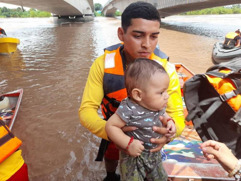 Sacados en brazos, con pocas pertenencias y sus animalitos: el drama que viven familias evacuadas (Fotos)