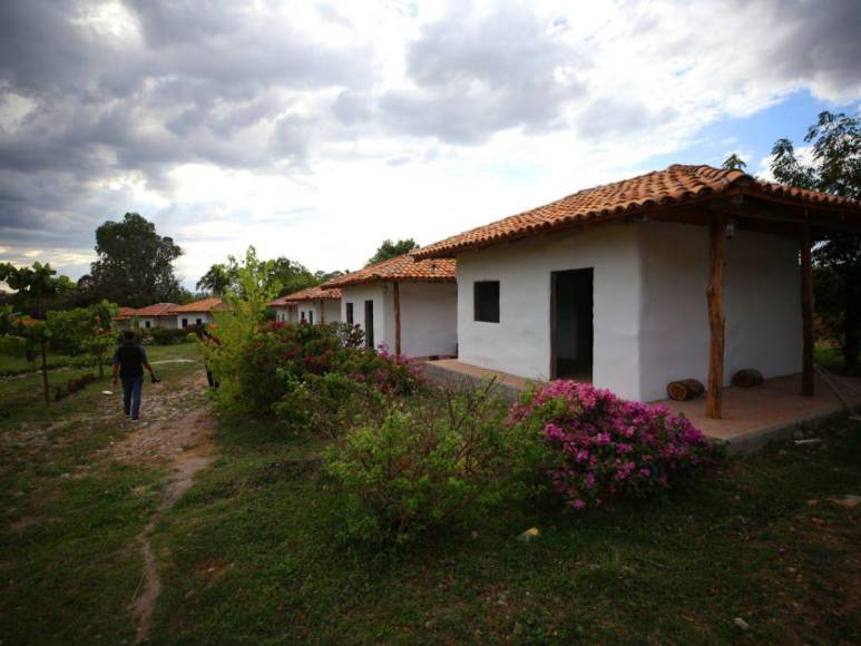 Adrenalina y ambiente familiar: así es la increíble experiencia al visitar el Laberinto de Cipreses en Comayagua