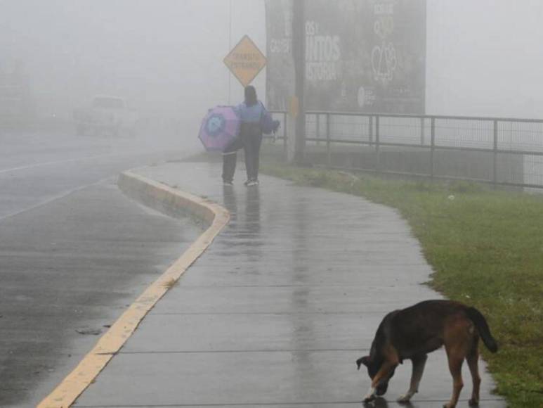 La tormenta tropical Pilar y su paso por Centroamérica; hay 4 muertos