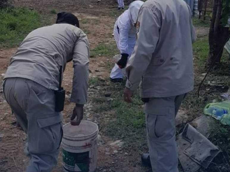 Fue atacado por enjambre de abejas africanizadas mientras medía un terreno: lo que se sabe de la muerte de anciano en La Ceiba